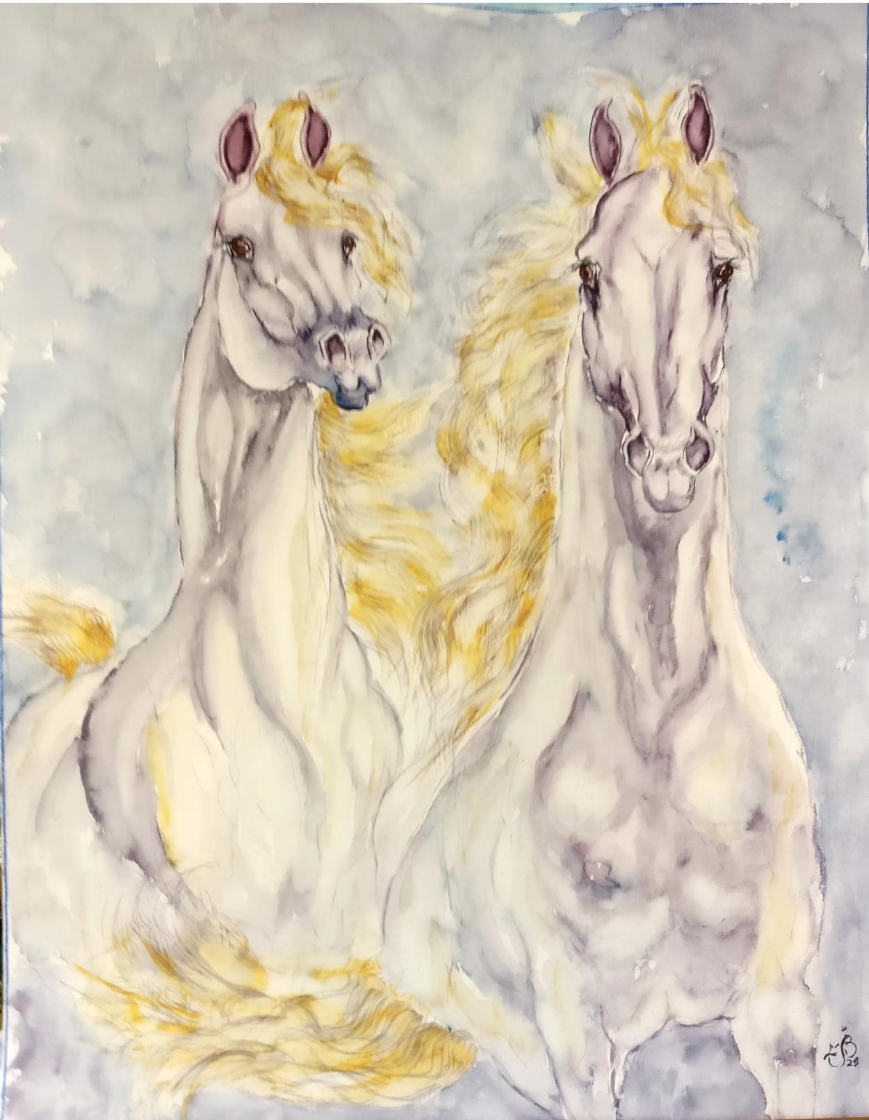 Chevaux galop