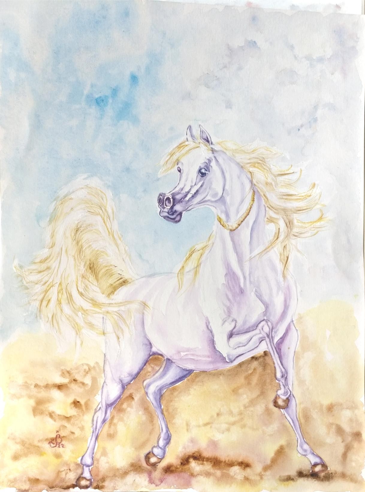 Etalon arabe 2022
