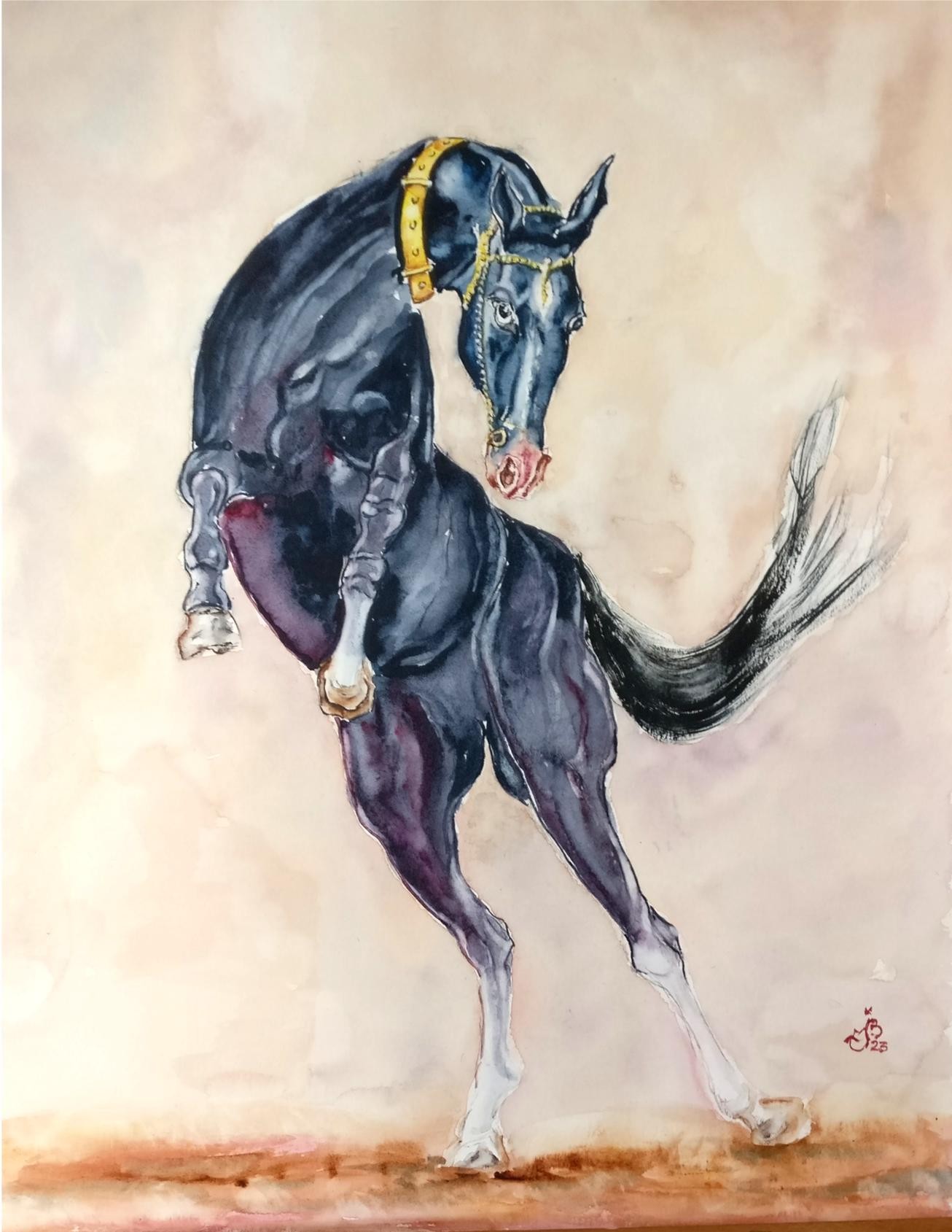 Etalon noir 20231009 165622