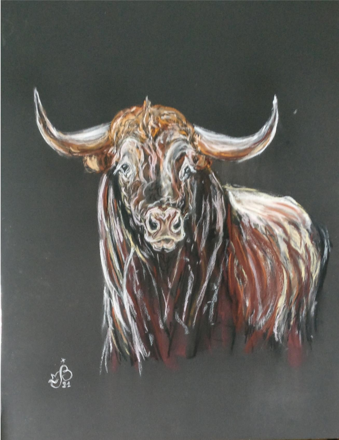 Toro