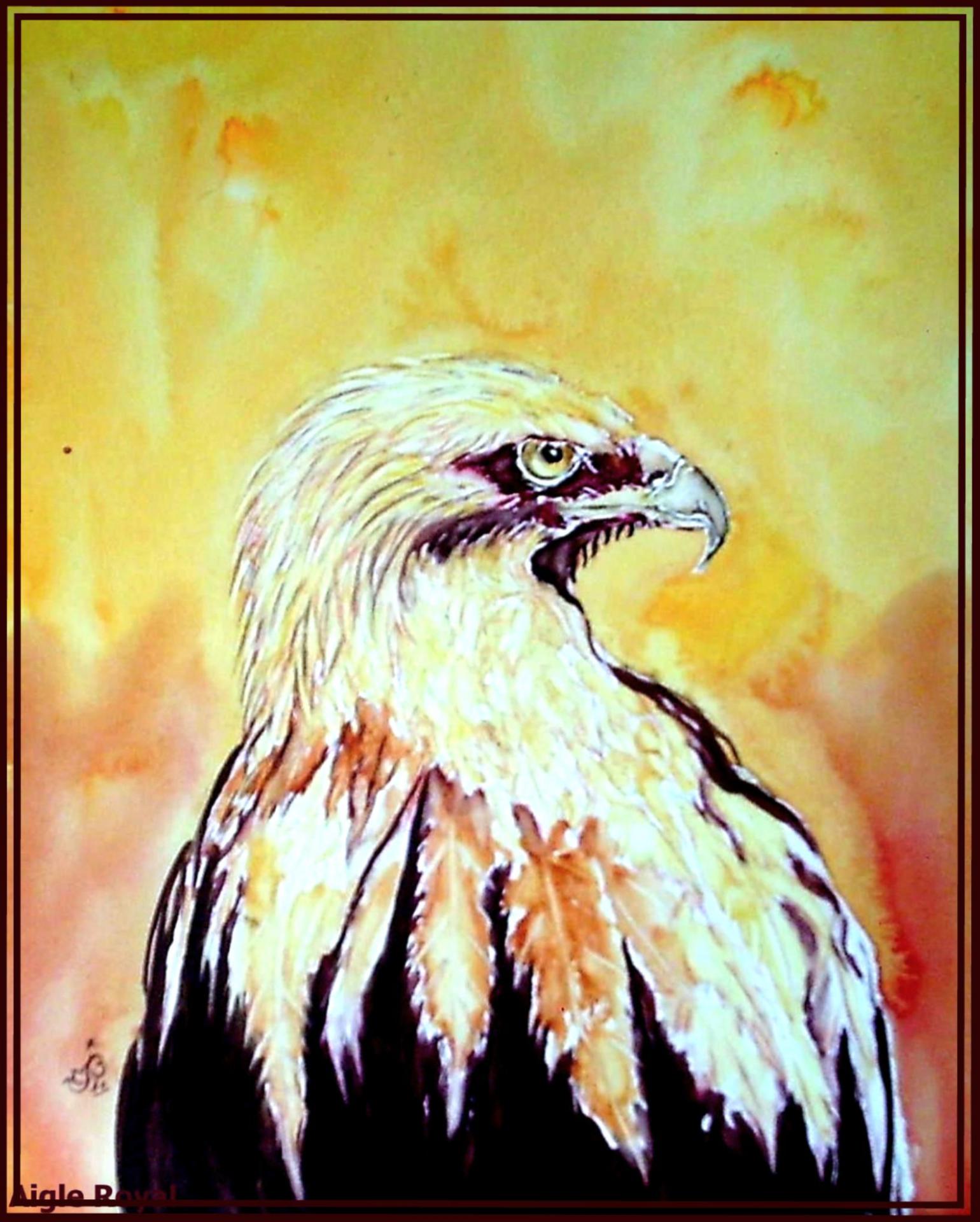 Aigle royal