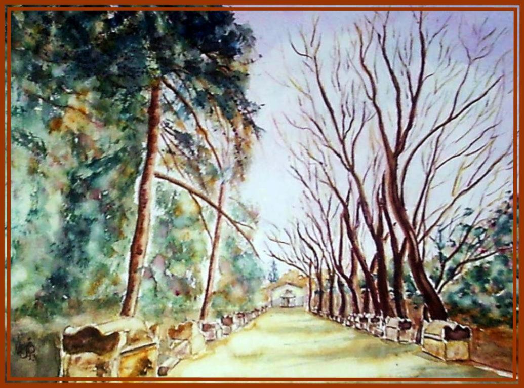 Allee des alyscamps 5