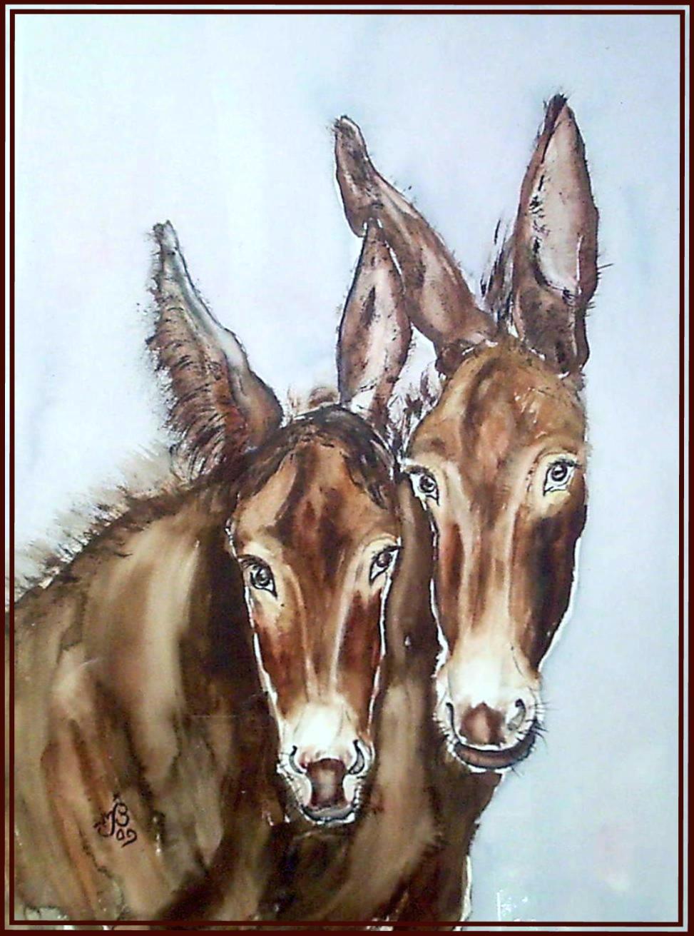 Anesse&Anon