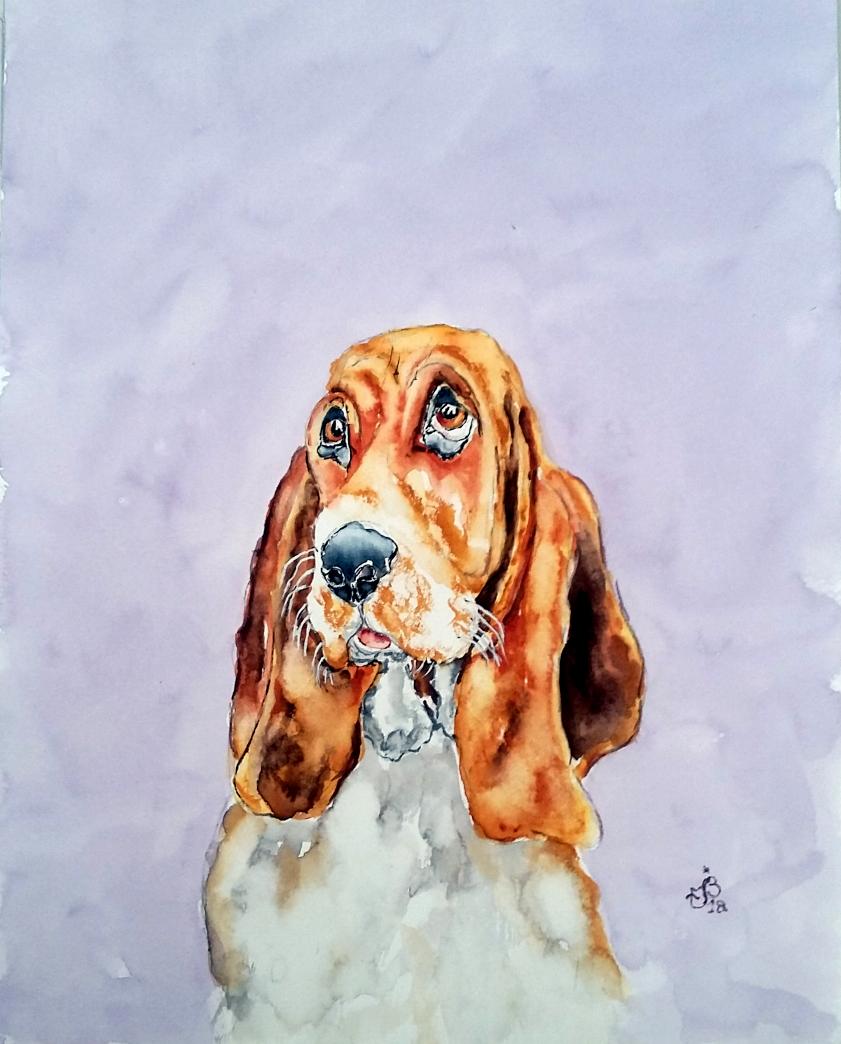 Basset