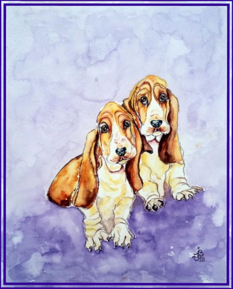 Bassets