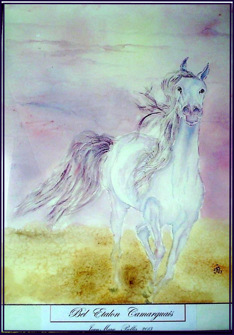 Bel étalon
