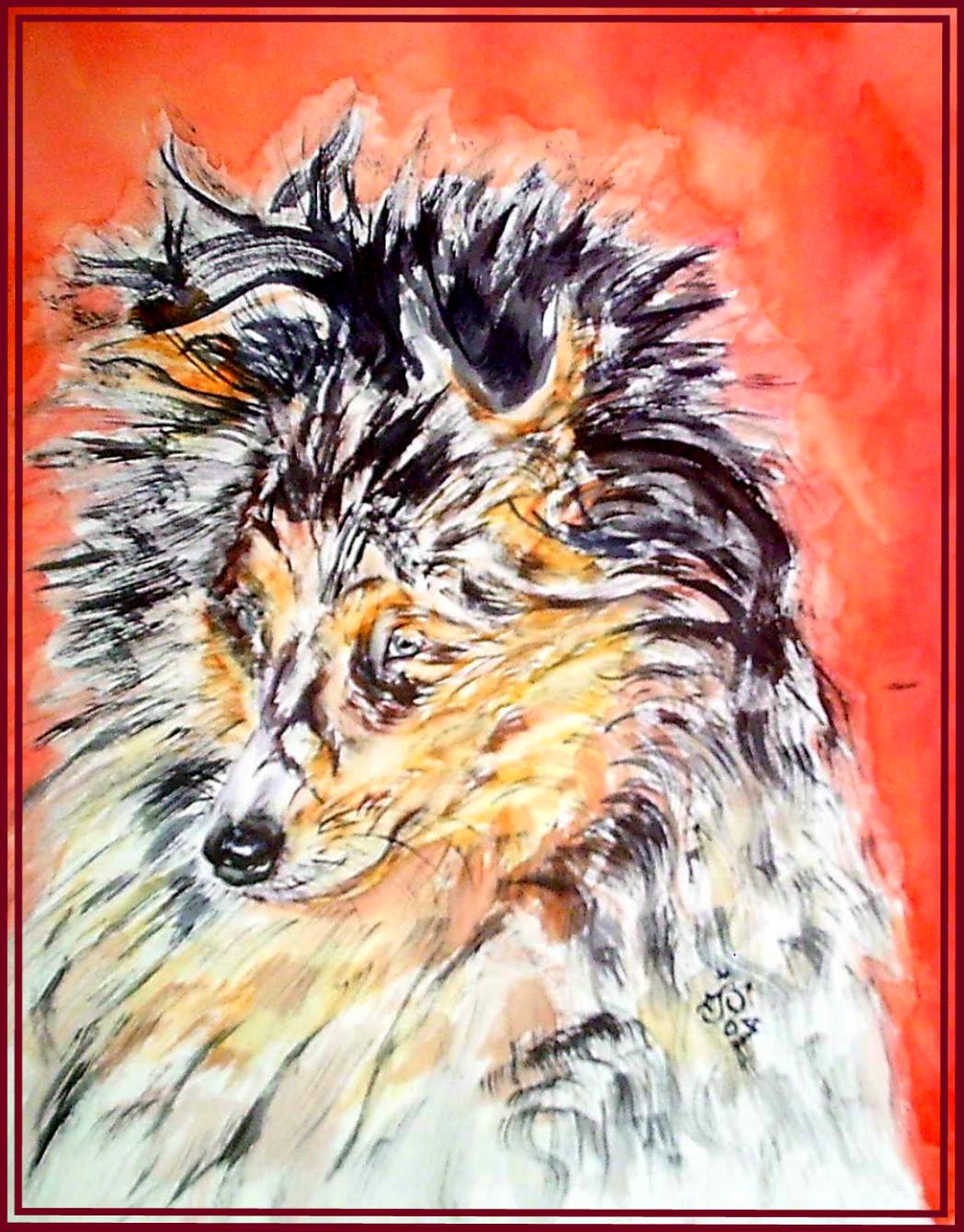 Berger shetland