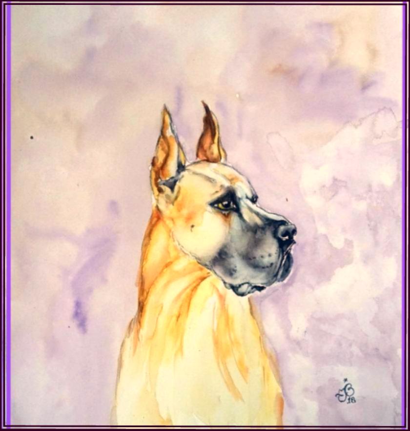 Boxer