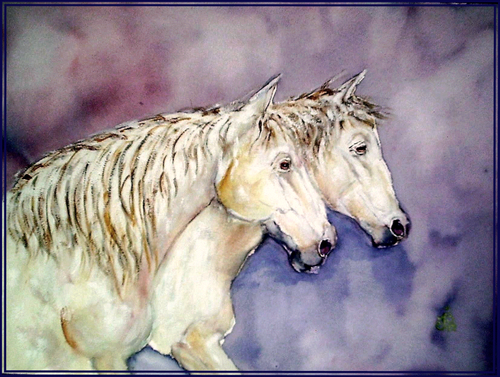 Camarguais duo