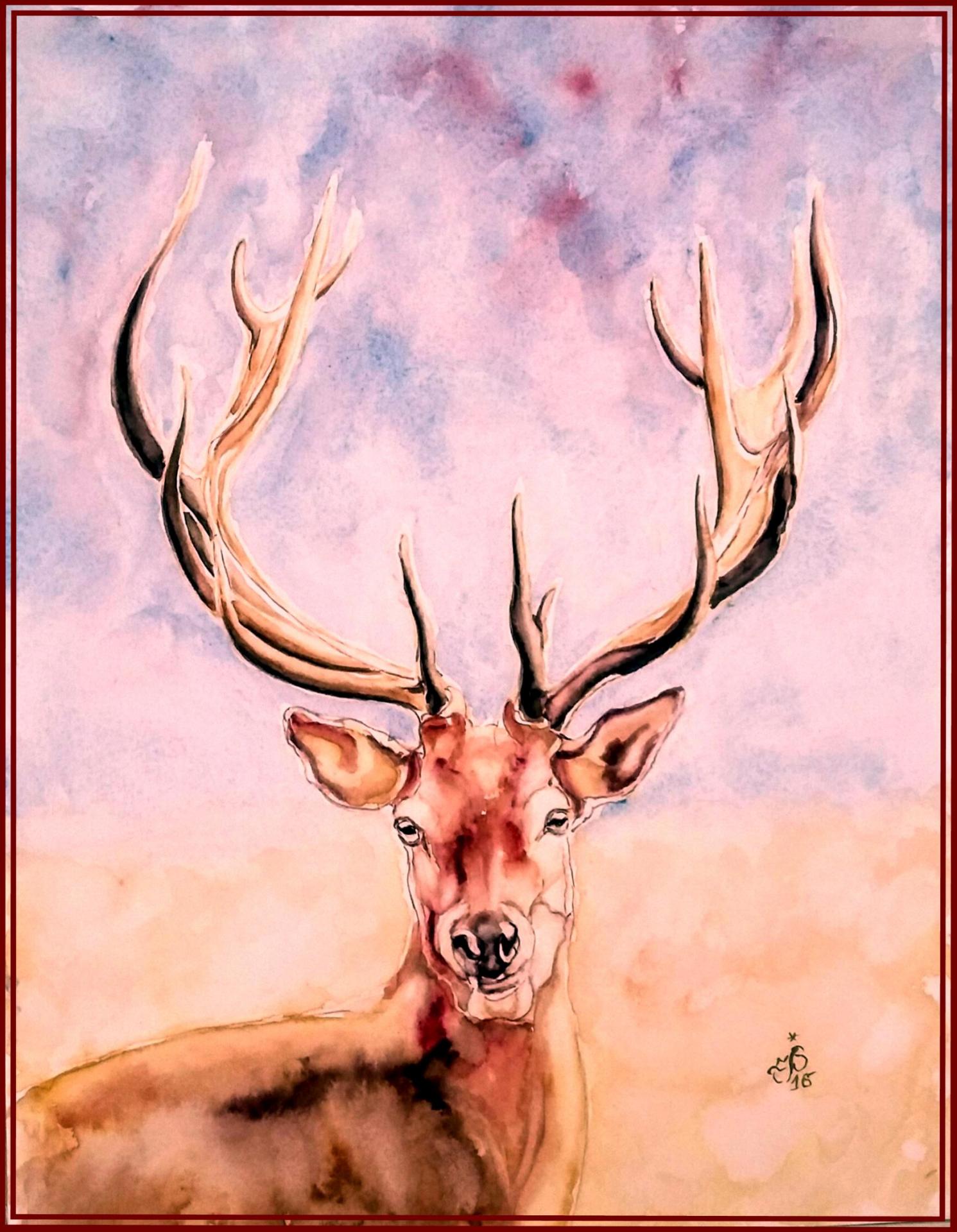 Cerf