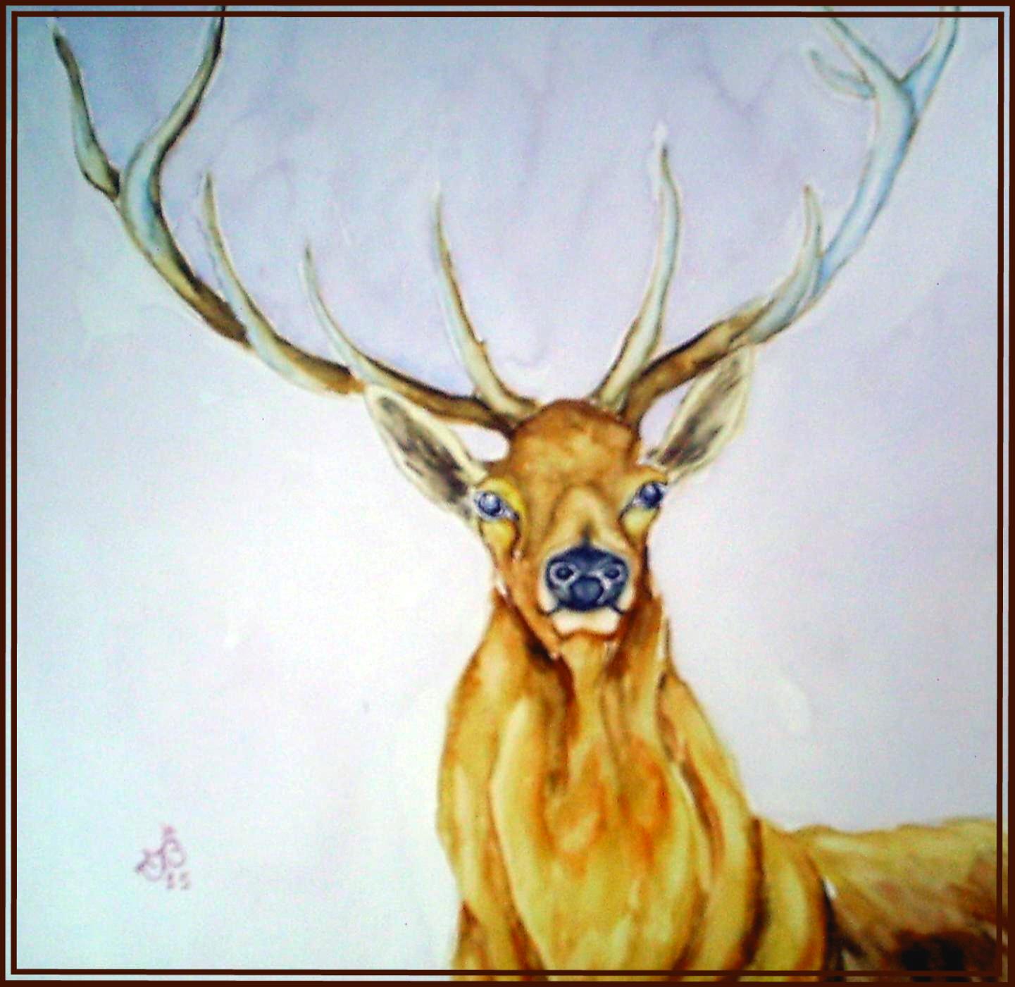 Cerf jeune