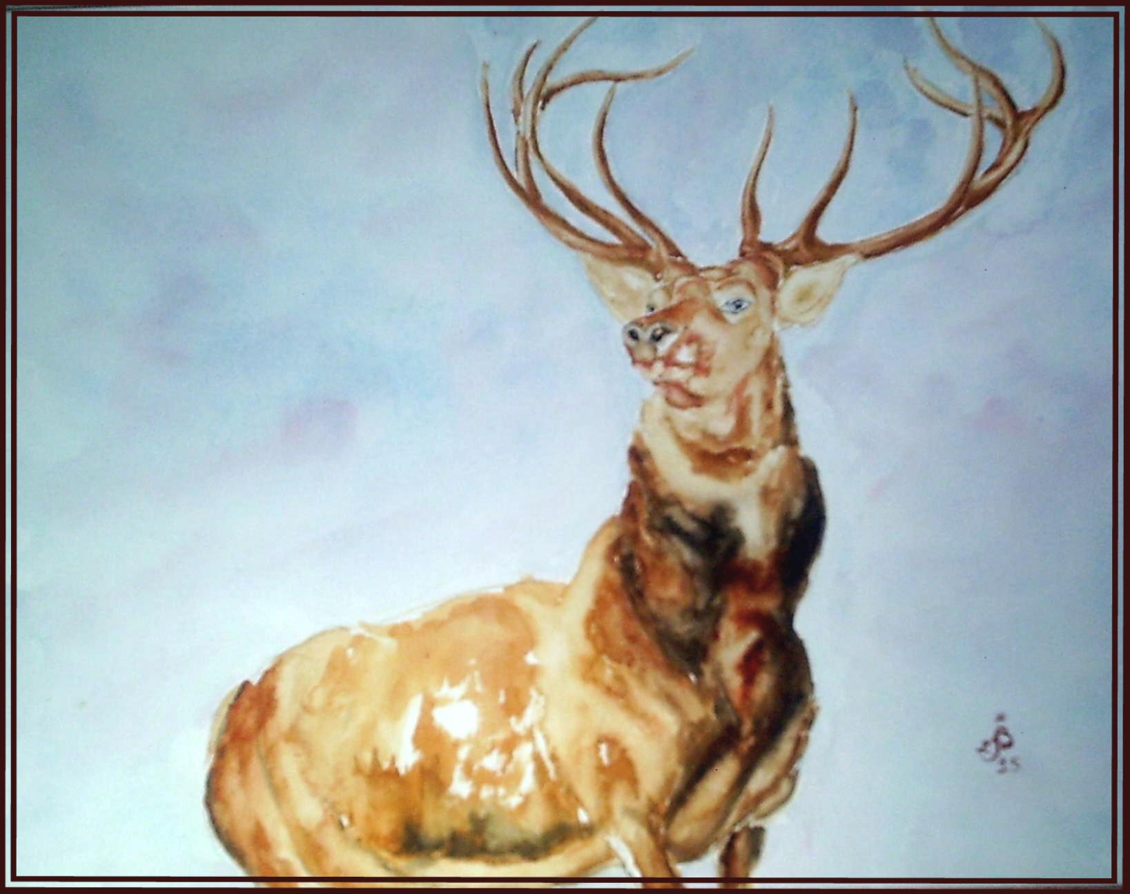 Cerf