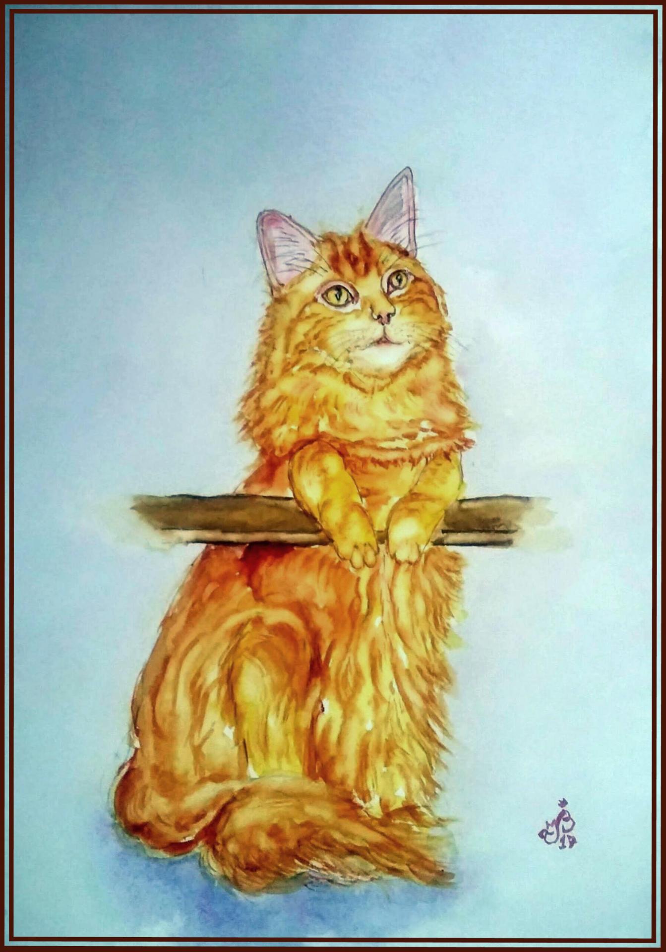 Chat