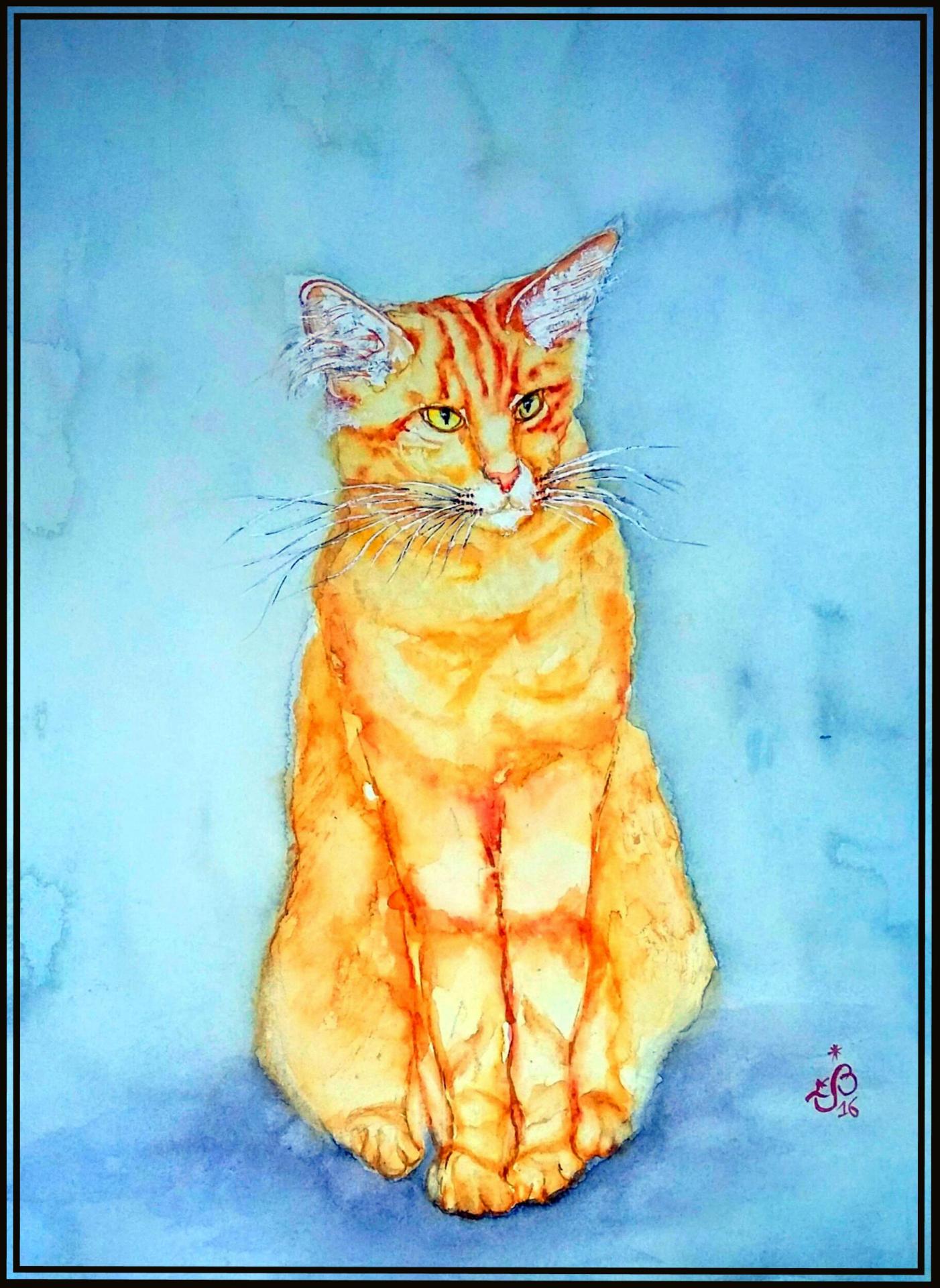 Chat roux