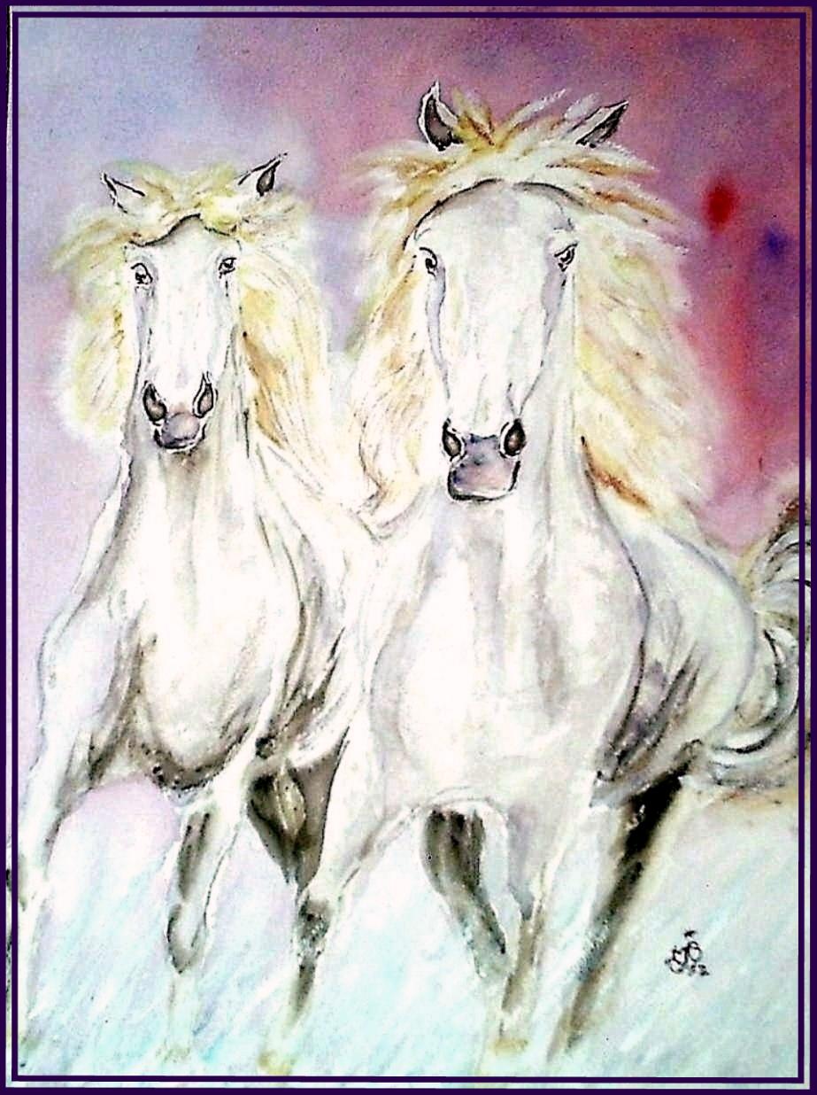 Chevaux camarguais
