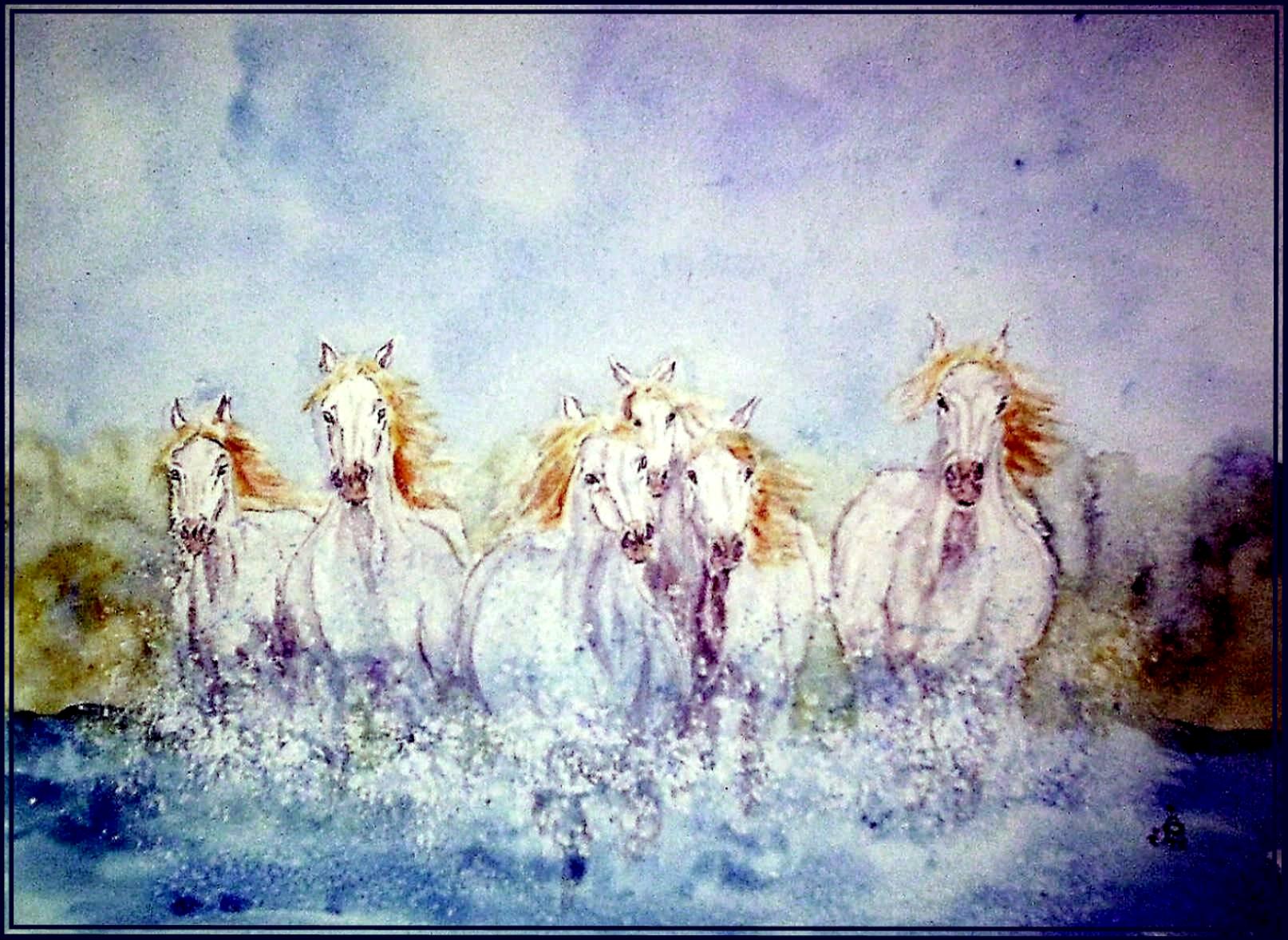 Chevauchée camarguaise