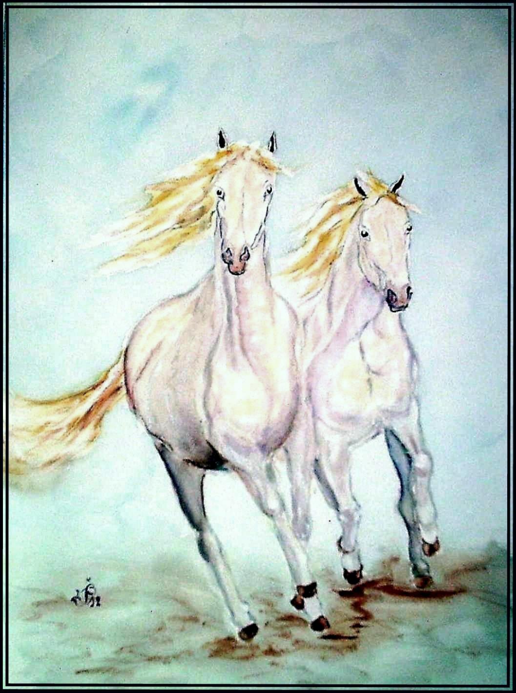 Galop camarguais