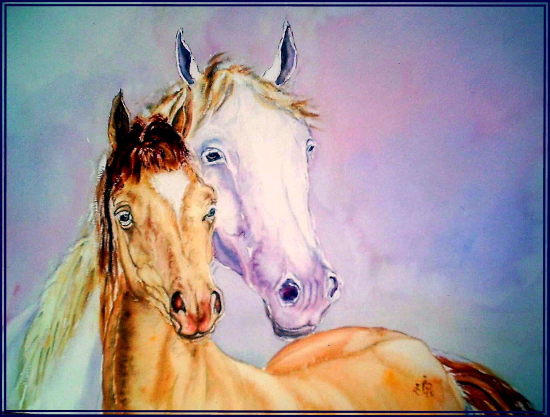 Jument&poulain