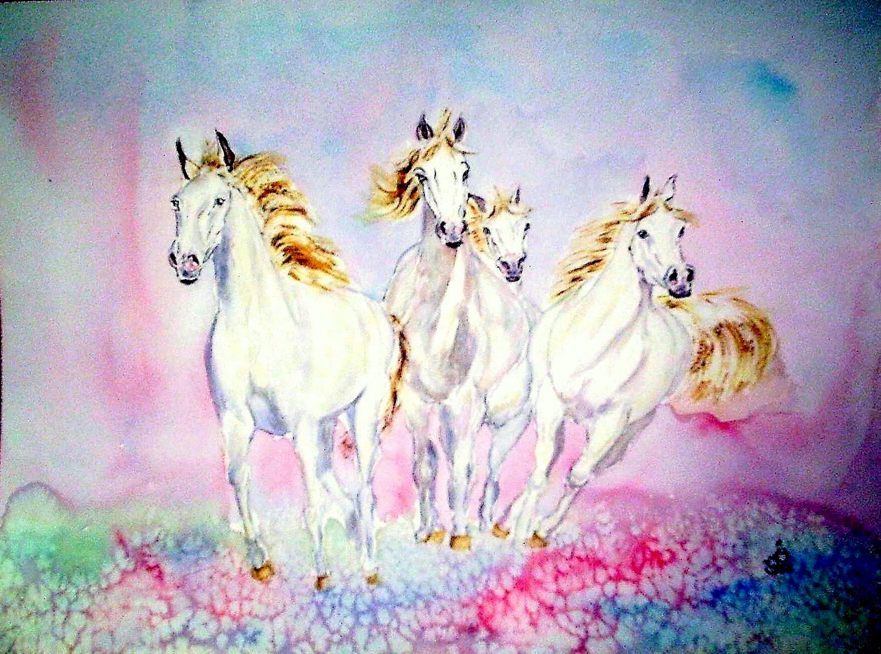 Cammarguais au galop