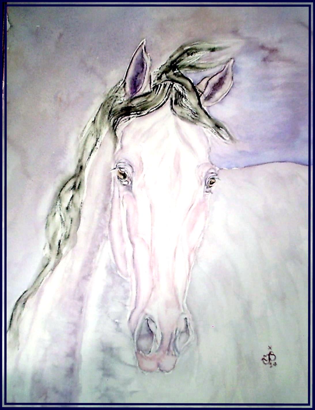 Cheval 096 2 2