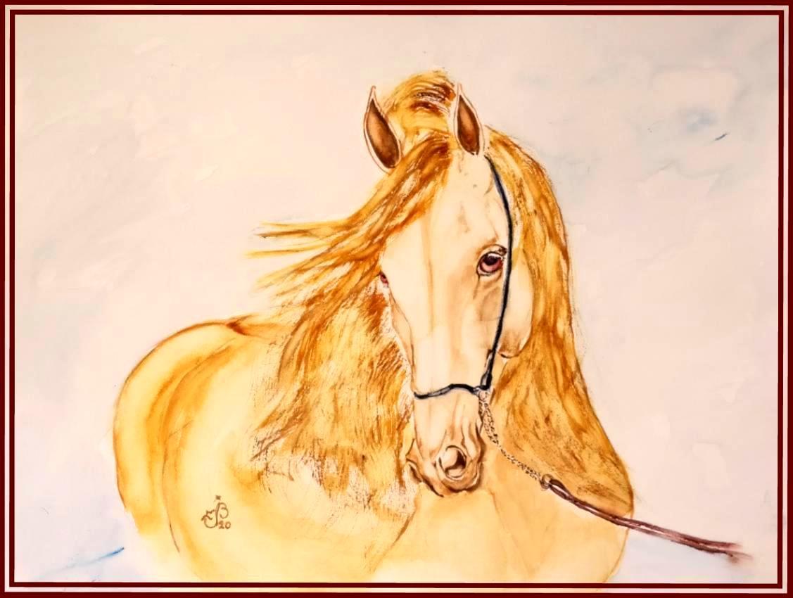 Cheval 2020