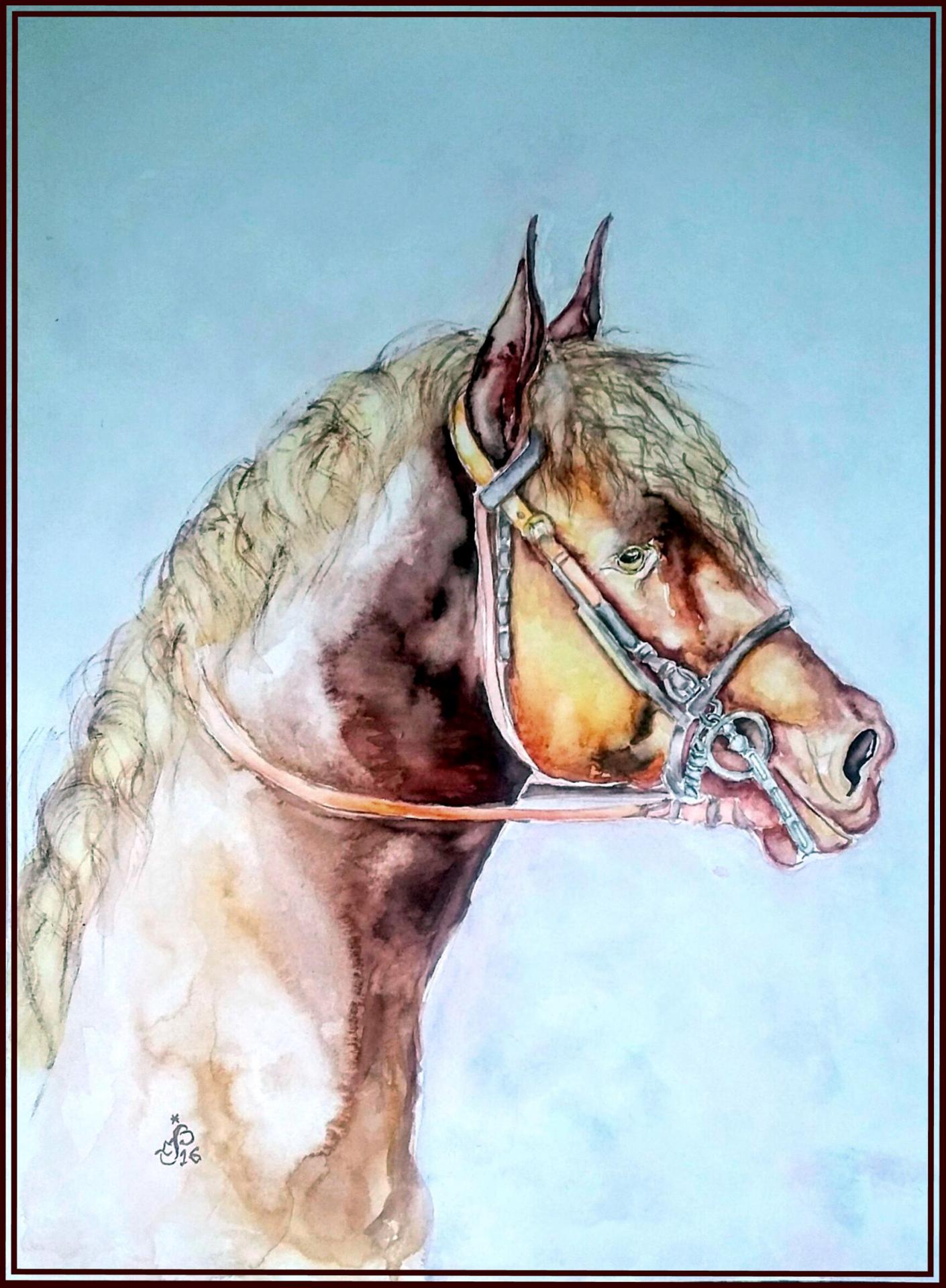 Cheval brun