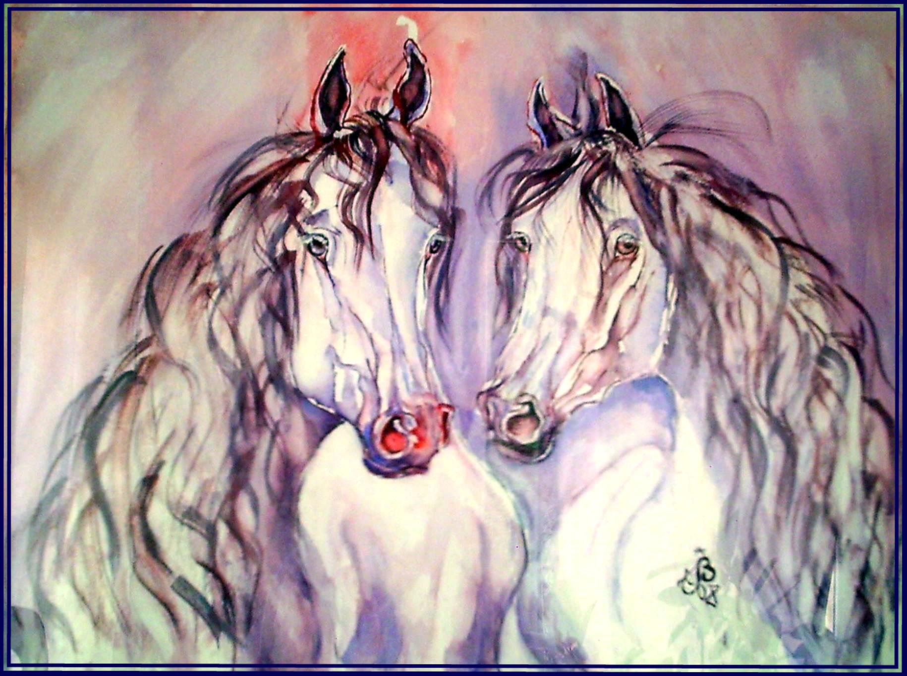 Cheval duo camarguais 1 1