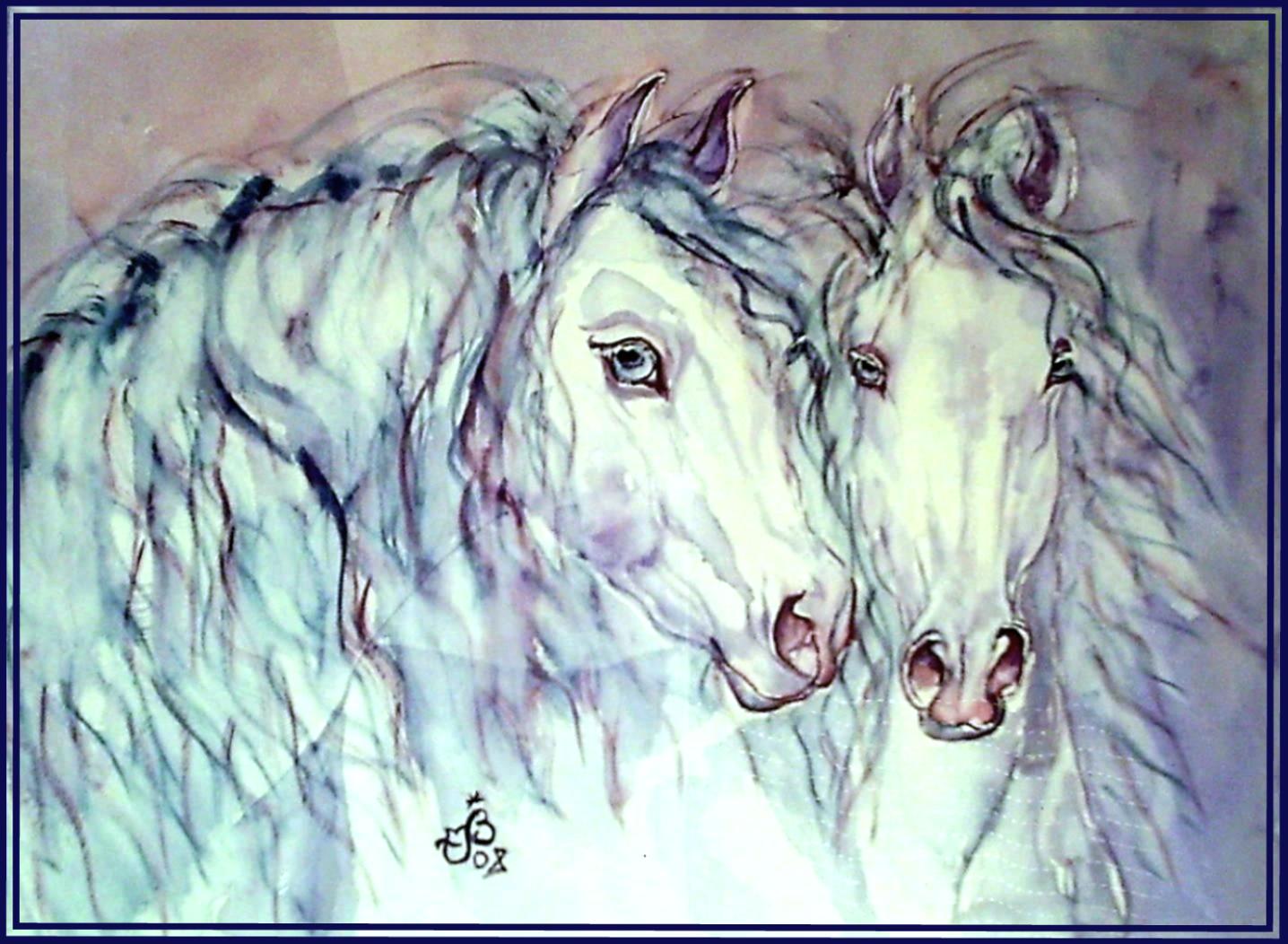 Cheval duo camarguais 2 2