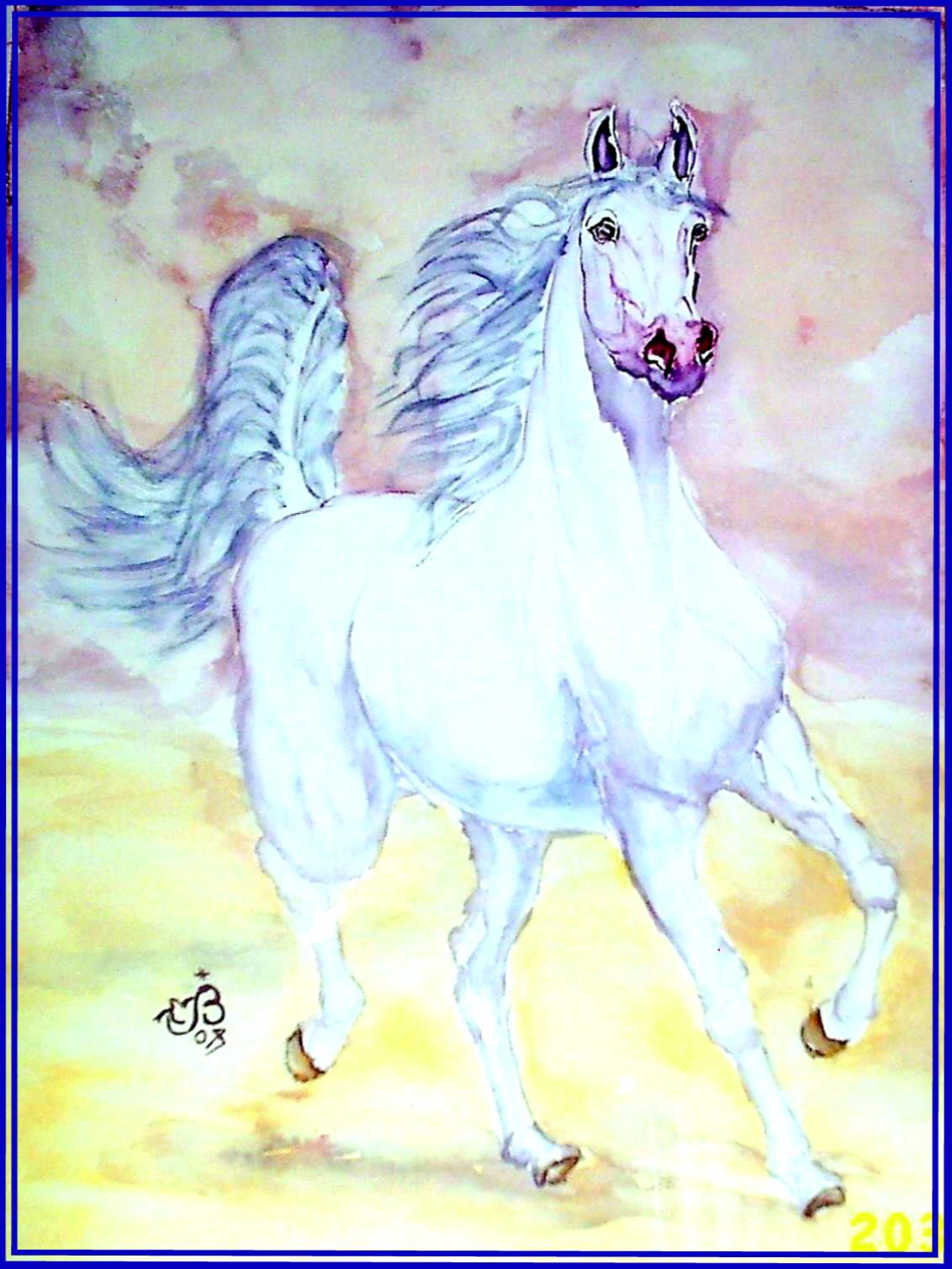 Bel arabe