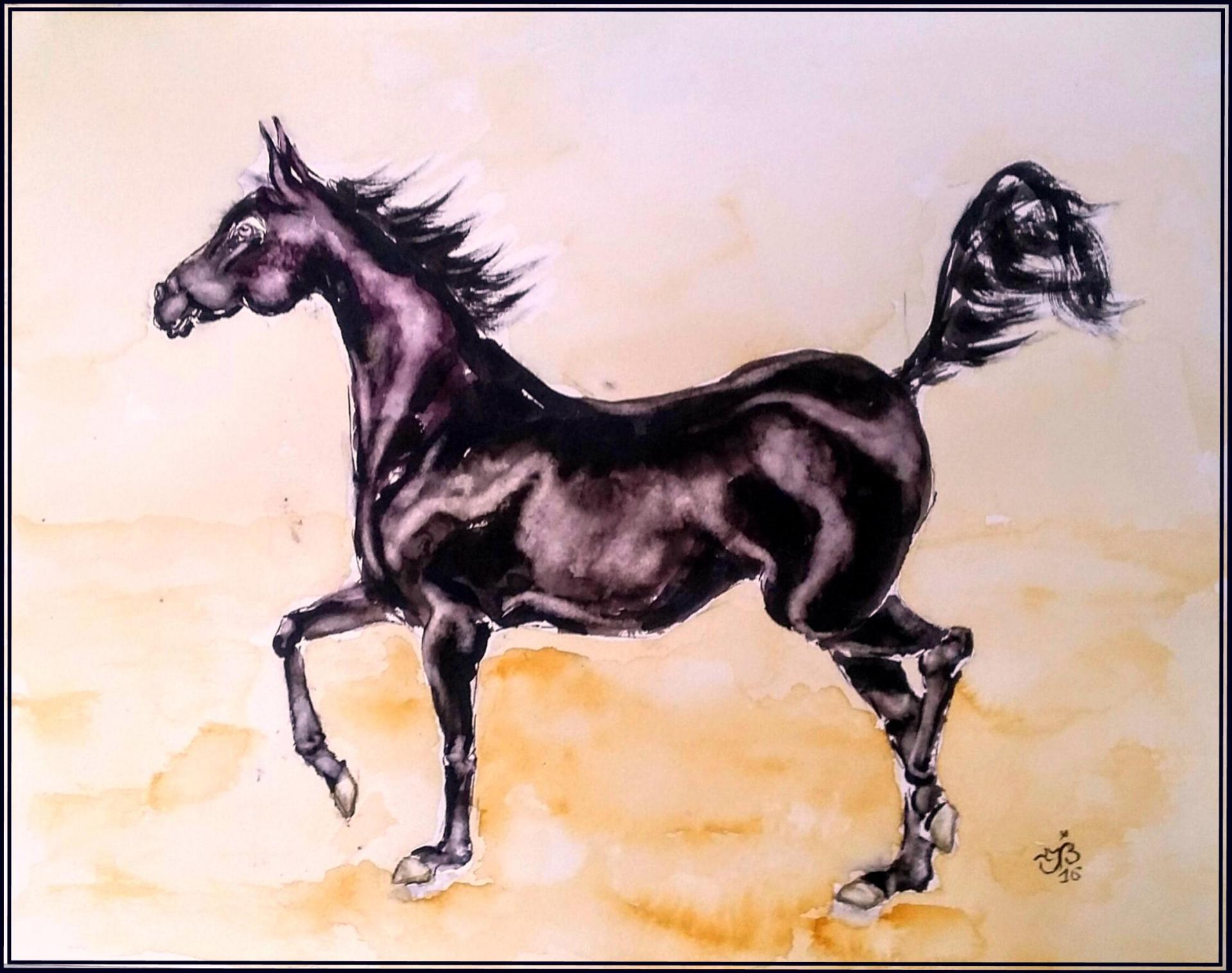 Cheval noir