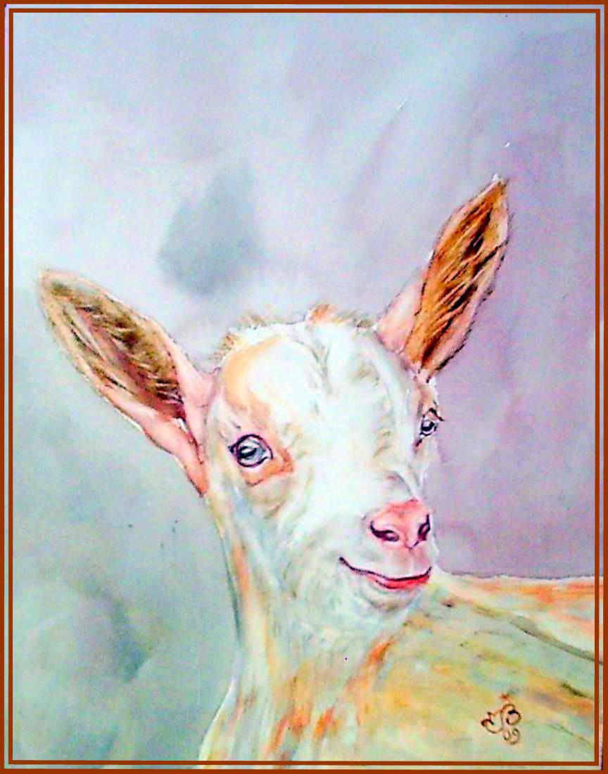 Chevrette
