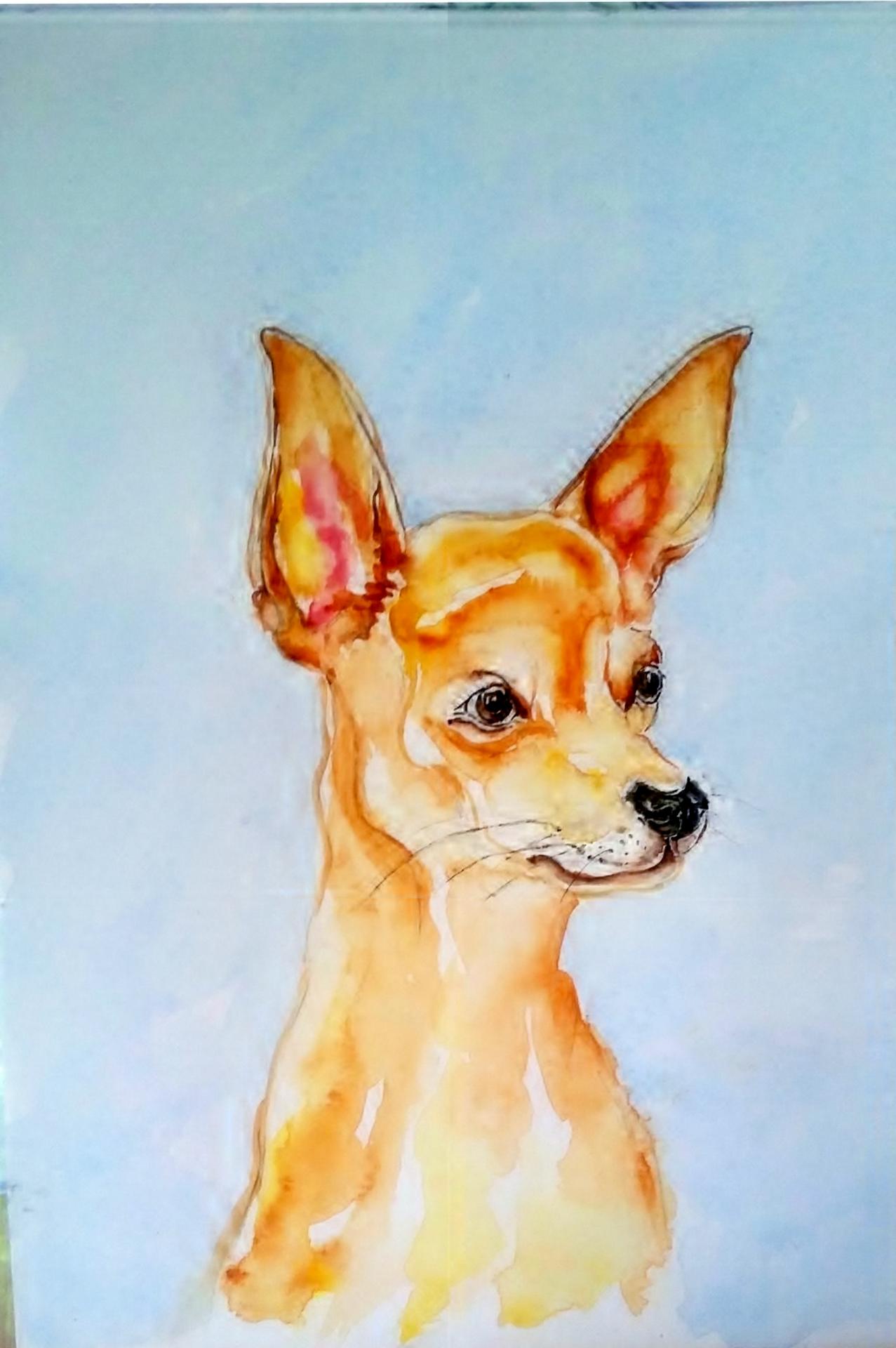 pinsher