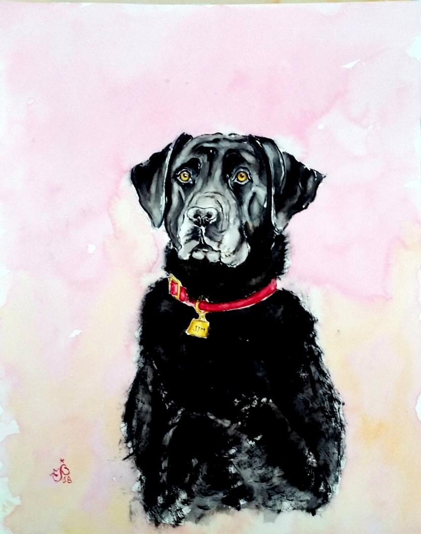 cane corso