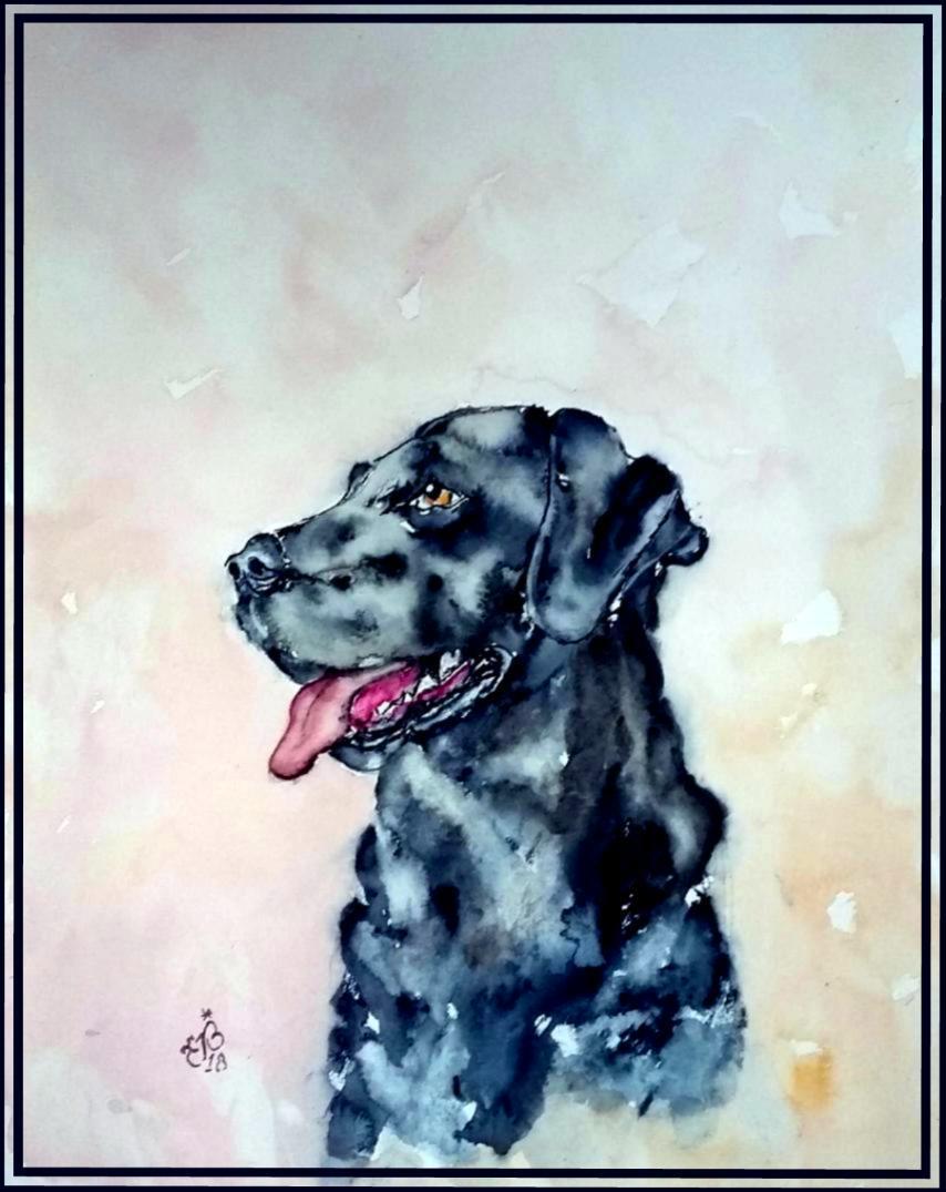 Chien noir