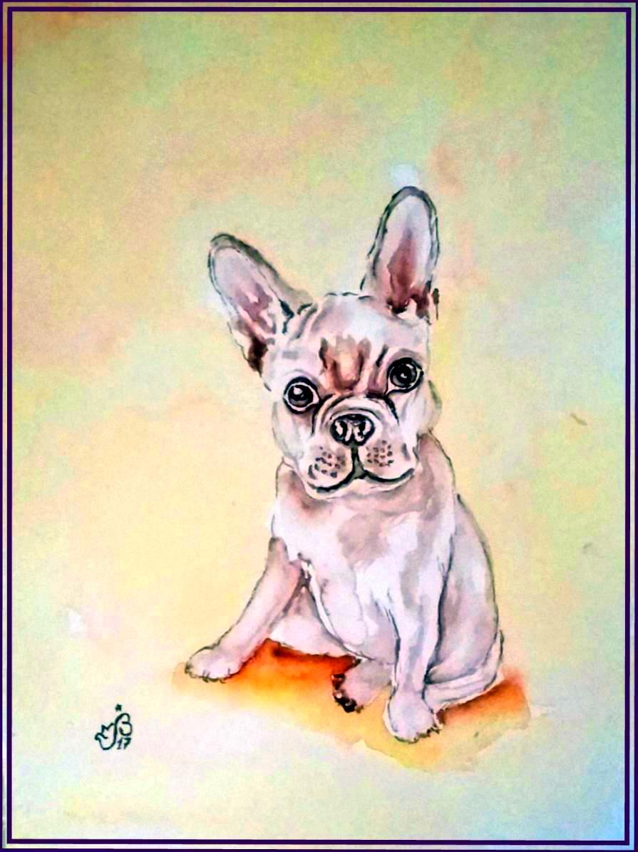 Chiot bouledogue