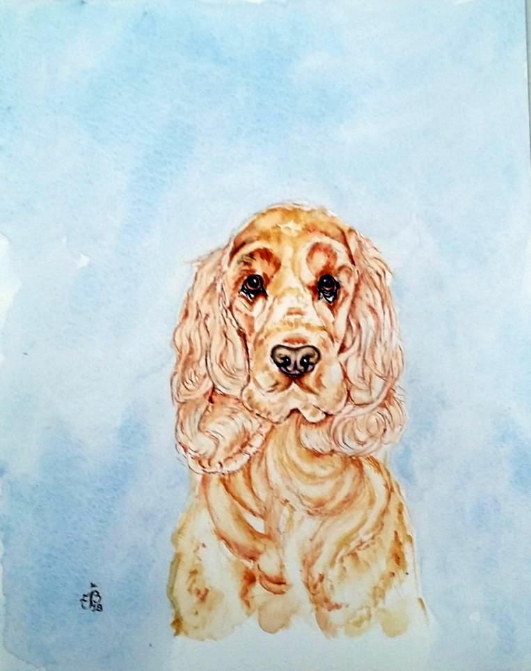 Cocker