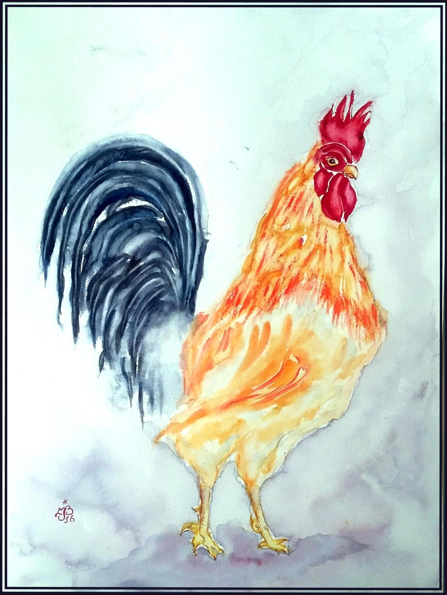 Coq
