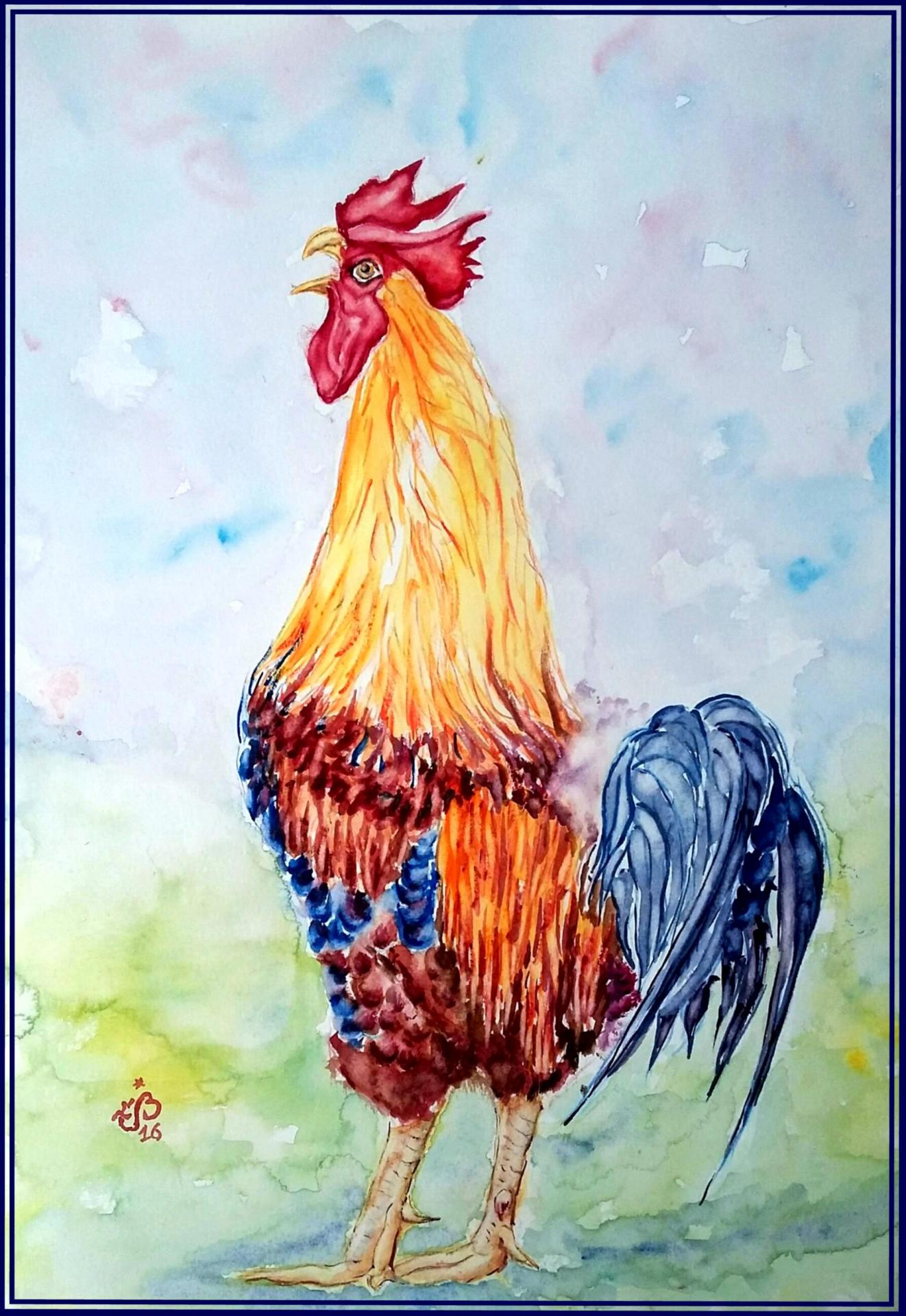 Coq
