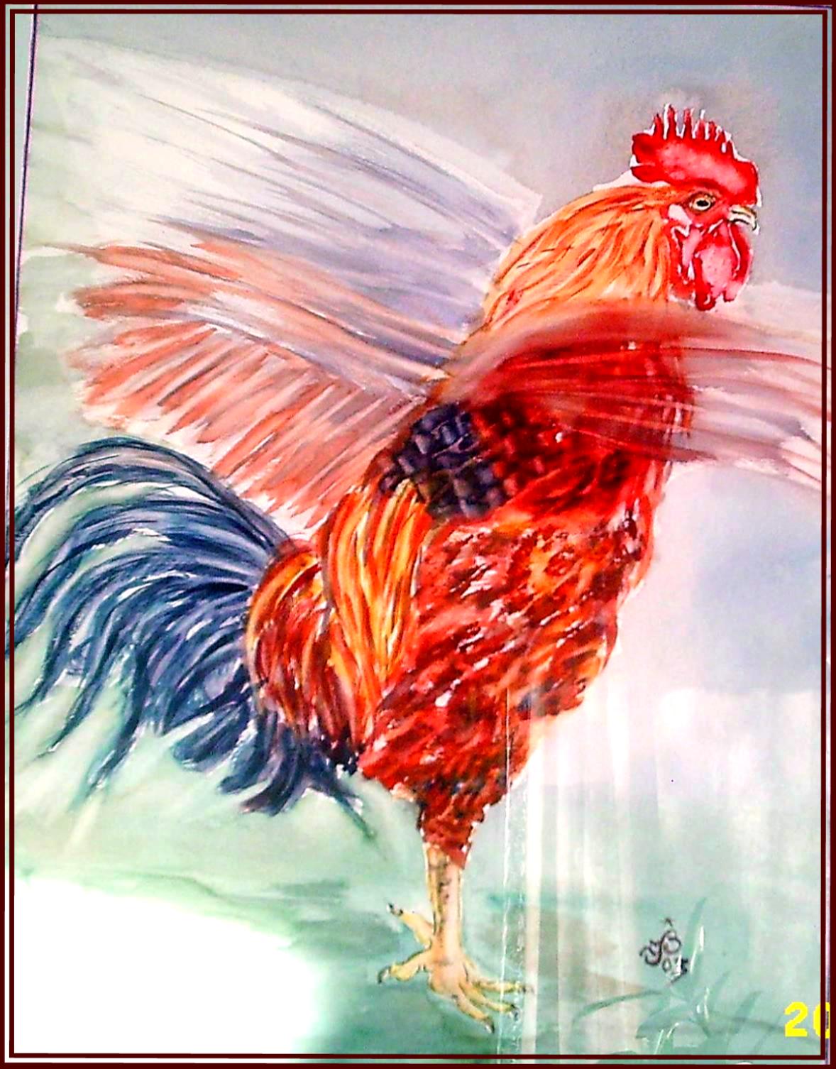 Coq battant ailes