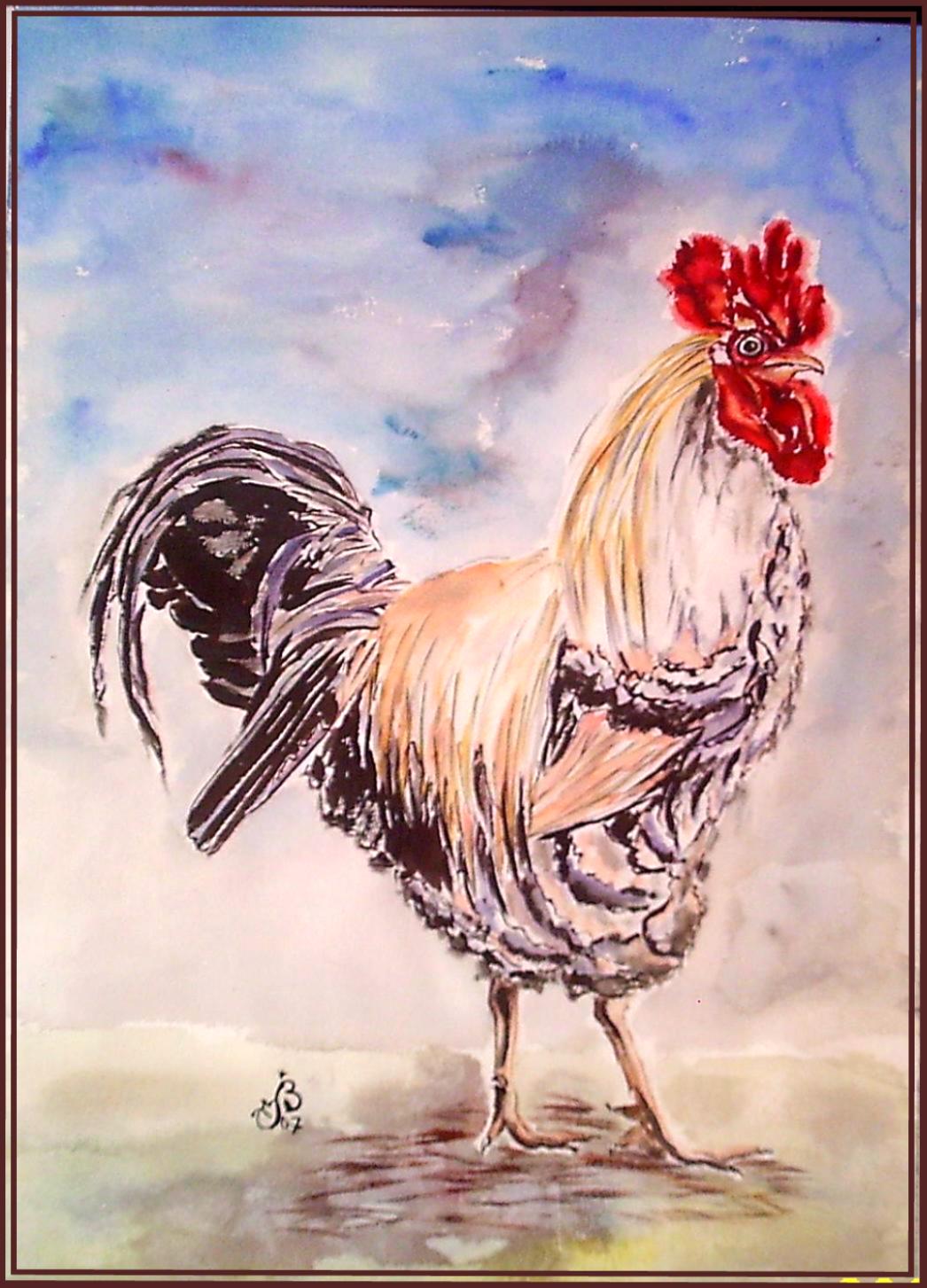 Coq blanc