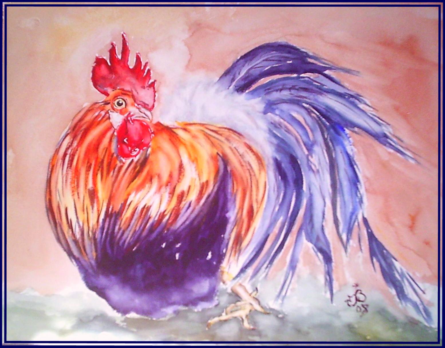 Coq couché
