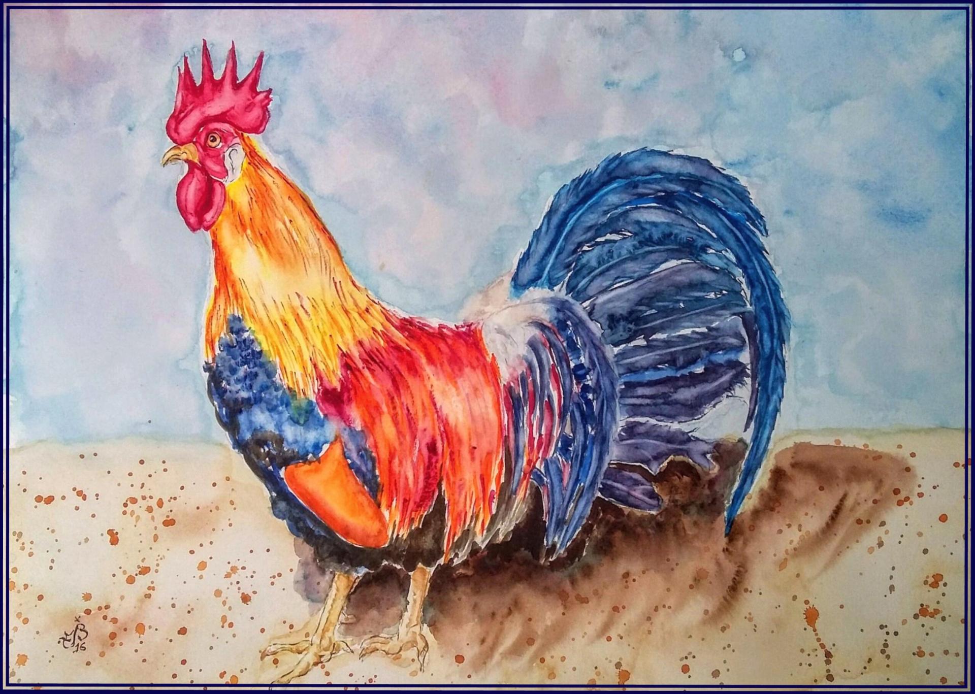 Coq fier