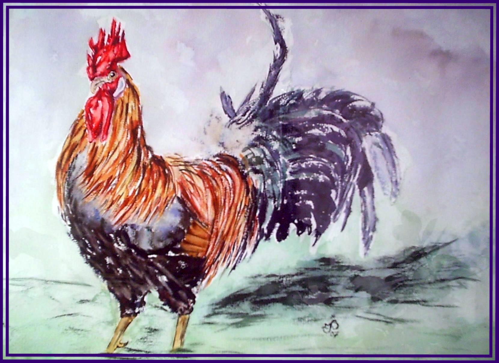 Coq gaulois