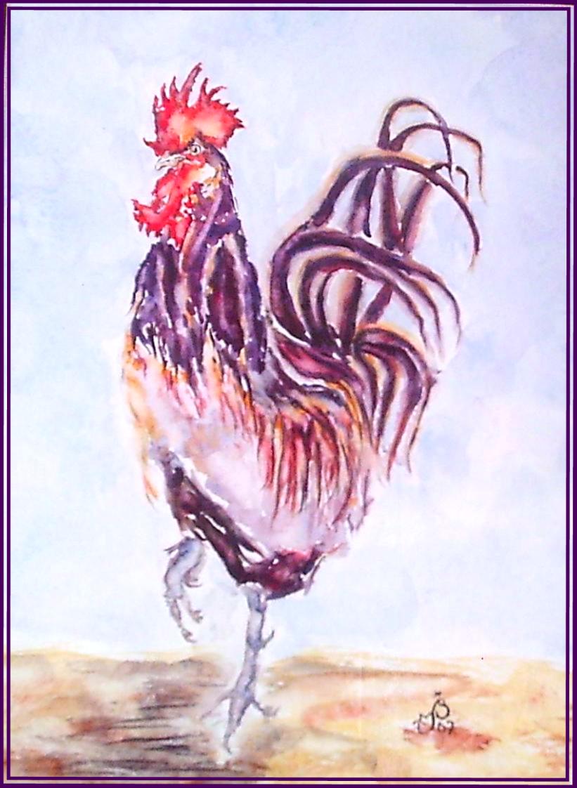 Coq hardi