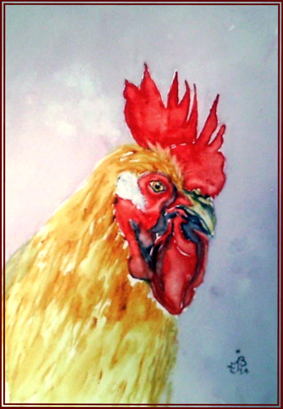 Coq portrait