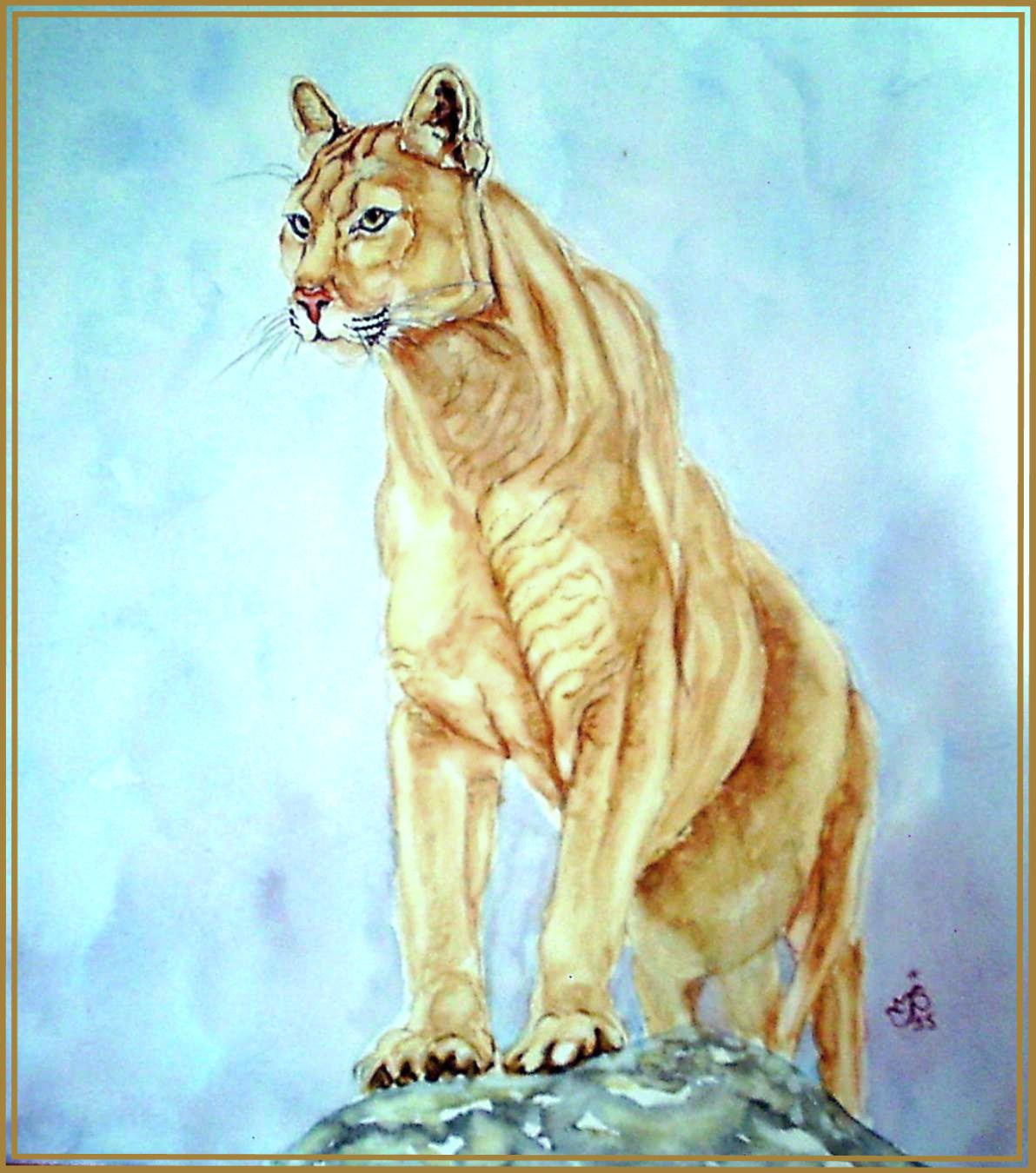 Cougar