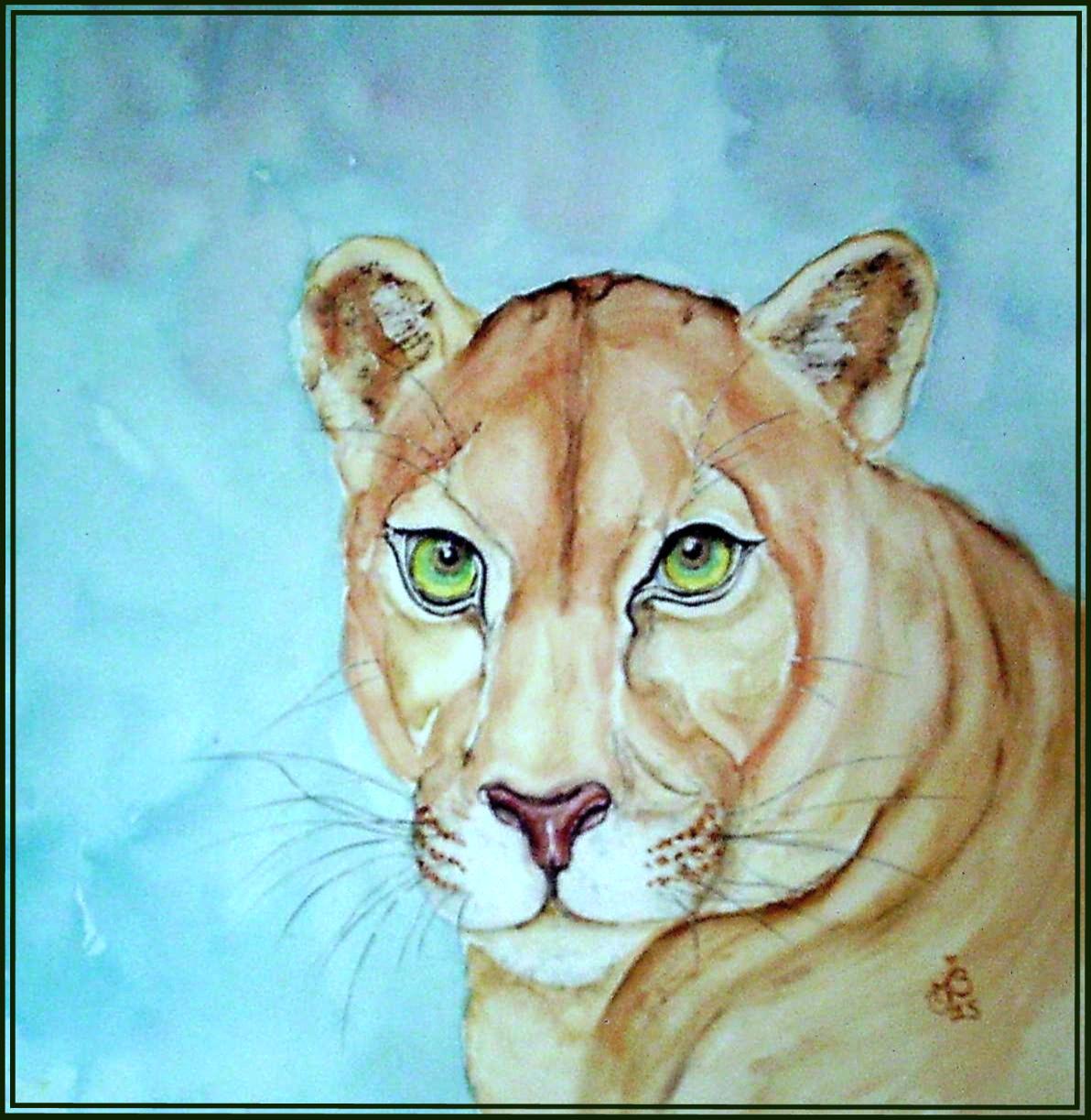 Cougar