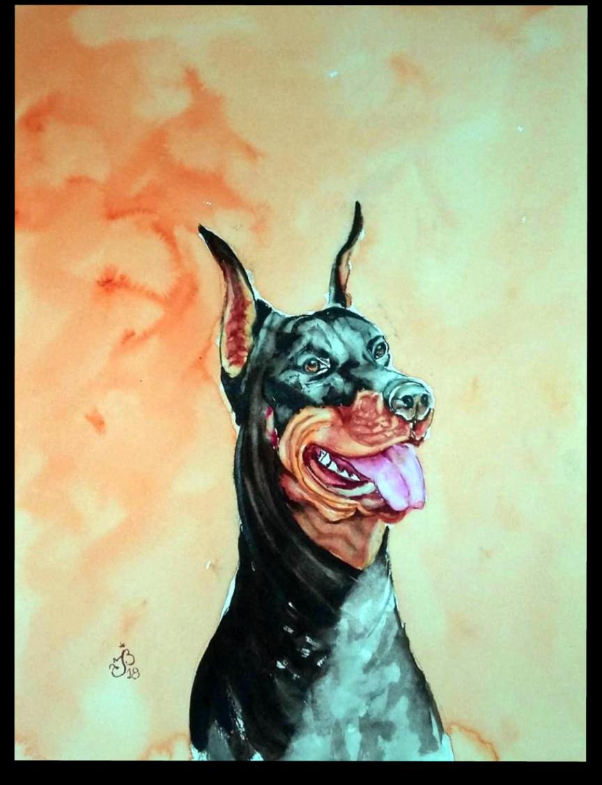 Doberman
