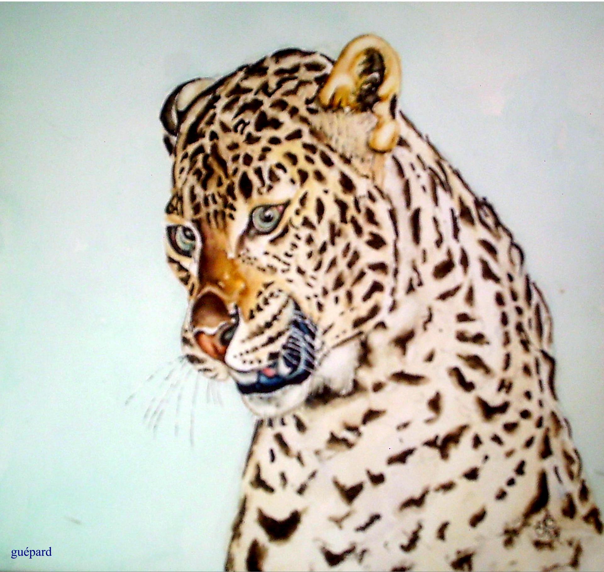 Guepard
