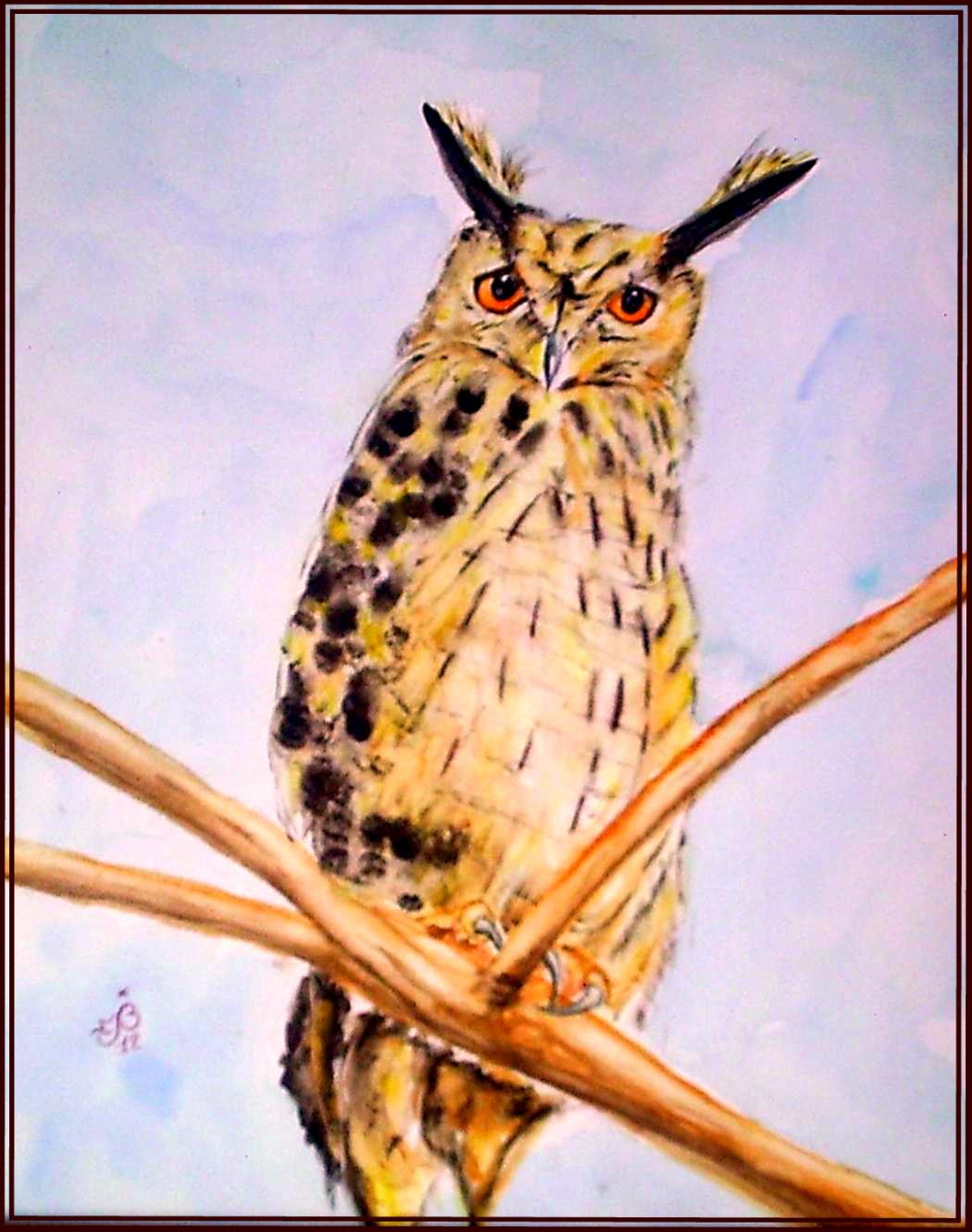 Hibou